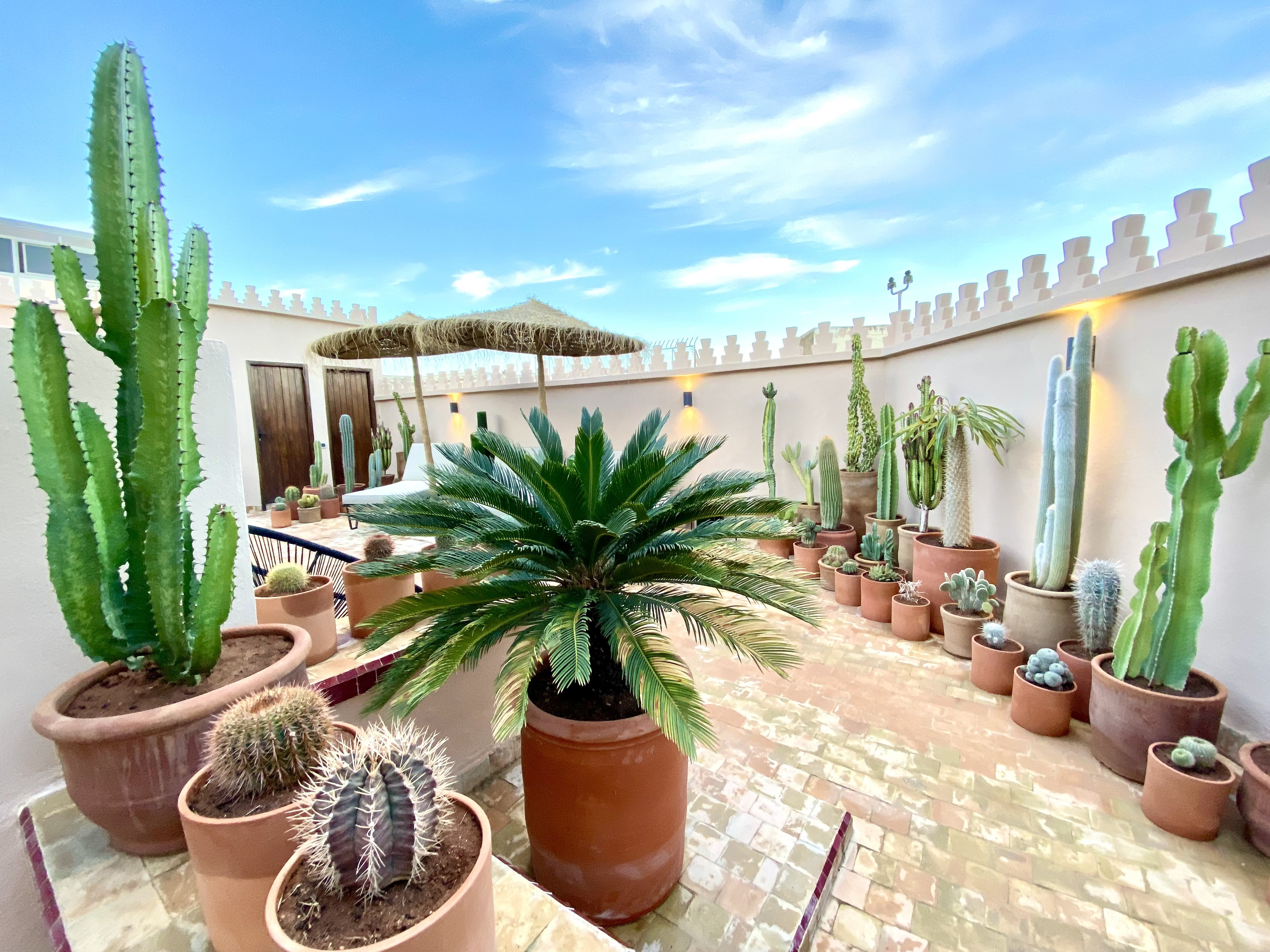 Suite Exécutive avec Terrasse - Yacout (2 Lits Simples ou 1 Lit King-Size)