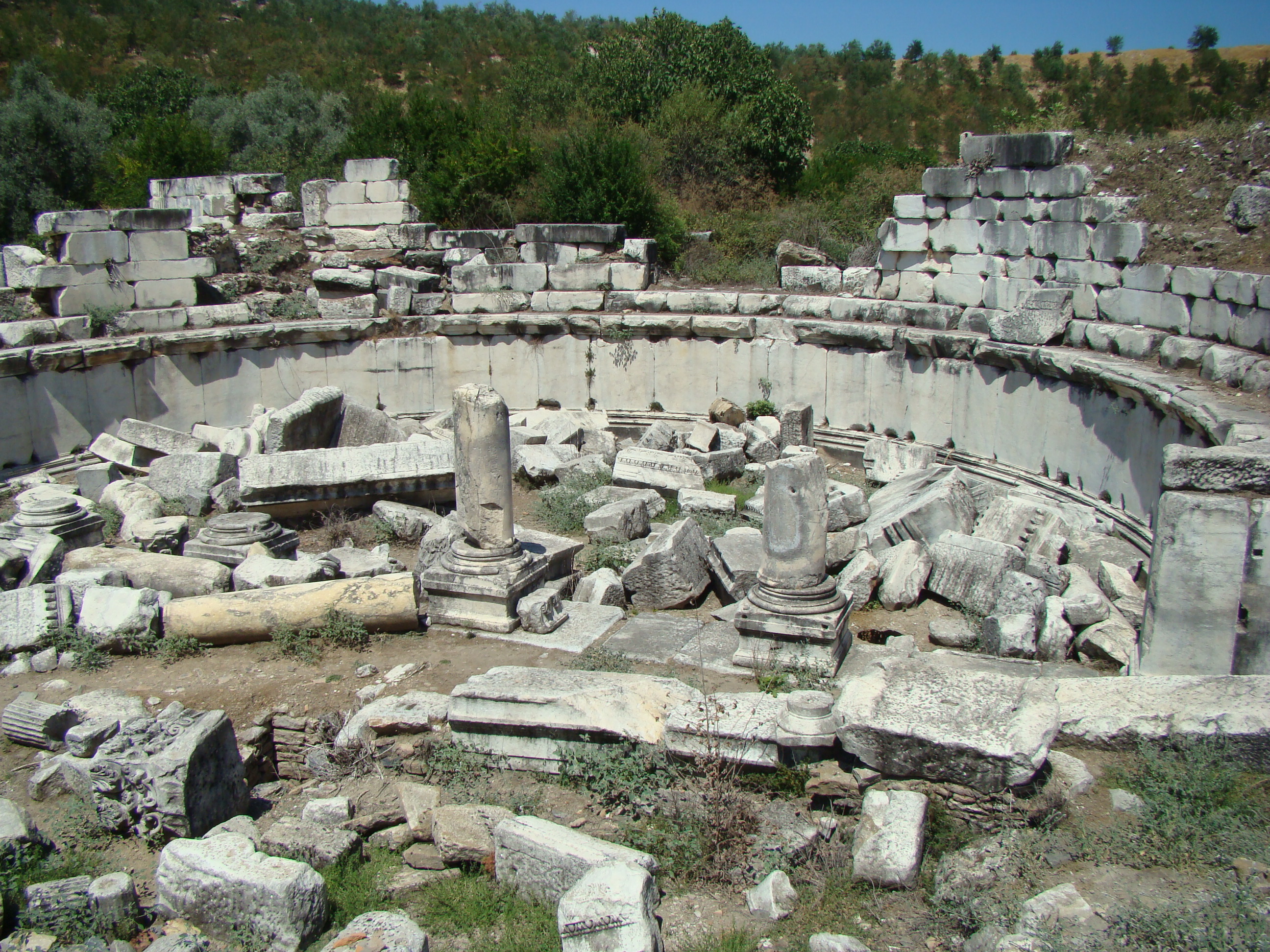 Blog Image 2